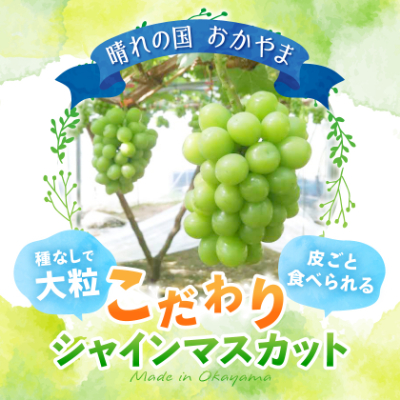 【2026年先行受付】岡山県美作市産　シャインマスカット　2kg(3〜5房)【配送不可地域：離島】【1109316】