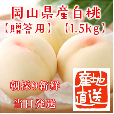 岡山県産白桃　約1.5kg(4〜6玉)【配送不可地域：離島・北海道・沖縄県】【1415014】