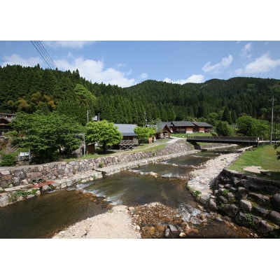 æžæµé£ãäœéšã倧人1åå
¥å Žåžãã1672835ã