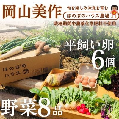 岡山美作の赤土台地でじっくり育てた季節の野菜約8種類と平飼い卵(6個入り)のセットです。【配送不可地域：離島】【1530200】