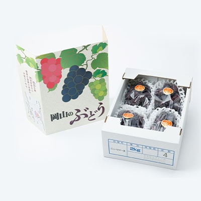 【2026年先行受付】果汁たっぷり朝採りピオーネ2kg【配送不可地域：離島・北海道・沖縄県】【1073054】