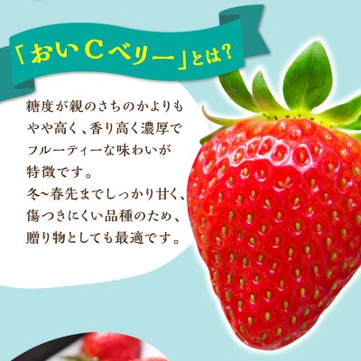 岡山ççŸäœåžç£ãããCããªãŒ(çŽ280gÃ4ããã¯)ãé
éäžå¯å°åïŒé¢å³¶ã»åæµ·éã»æ²çžçãã1464411ã