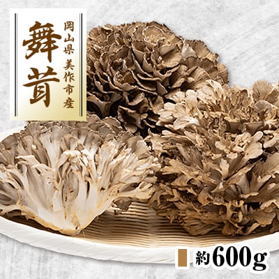 舞茸　約600g【配送不可地域：離島】【1154814】