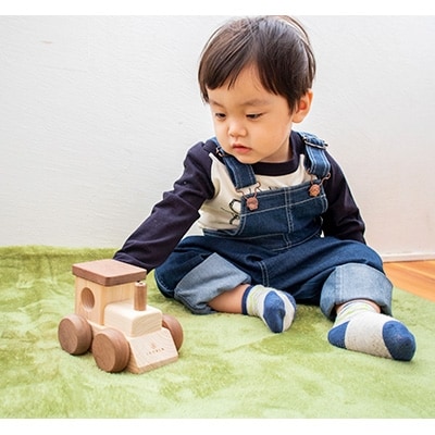 IKONIH TOY オルゴールトレイン【1075745】