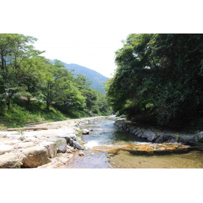 渓流釣り体験【大人1名 入場回数券】【1672840】