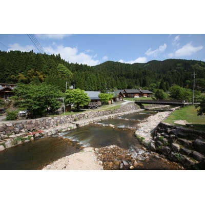 渓流釣り体験【大人1名 入場回数券】【1672840】