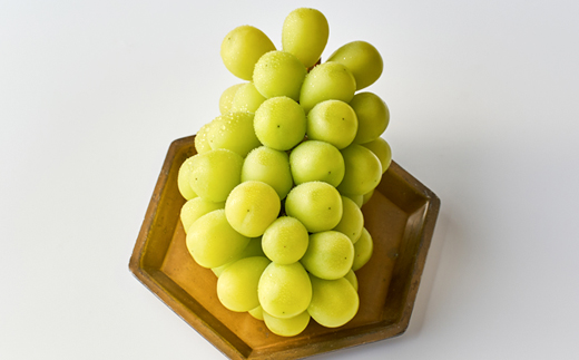 2026幎å
è¡åä»ãçŸäœåžç£ã·ã£ã€ã³ãã¹ã«ãã650gååŸã1æ¿ãé
éäžå¯å°åïŒé¢å³¶ã»åæµ·éã»æ²çžçãã1295227ã