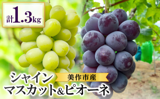 岡山県美作市産　シャインマスカット&ピオーネ　合計約1.3kg(各1房)【配送不可地域：離島・北海道・沖縄県】【1477223】