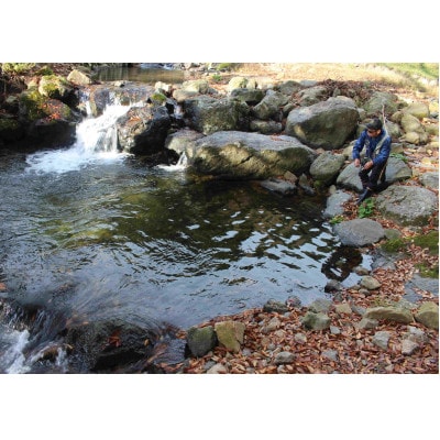 æžæµé£ãäœéšã倧人1åå
¥å Žåžãã1672835ã