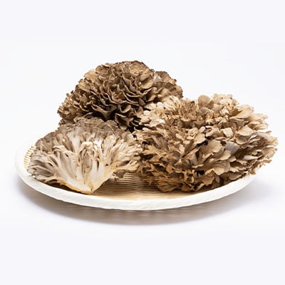 舞茸　約600g【配送不可地域：離島】【1154814】
