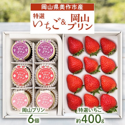 岡山県美作市産　特選いちご＆岡山プリン詰合せ(いちご約400g、プリン6個)【配送不可地域：離島・北海道・沖縄県】【1073698】