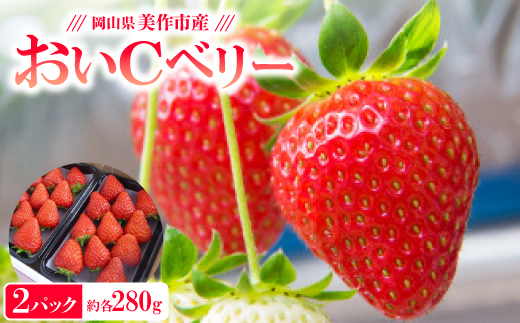 岡山県美作市産　おいCベリー(約280g×2パック)【配送不可地域：離島・北海道・沖縄県】【1464410】
