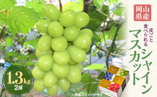 2026年先行予約　岡山県産シャインマスカット1.3kg(2房)【配送不可地域：離島】【1615817】