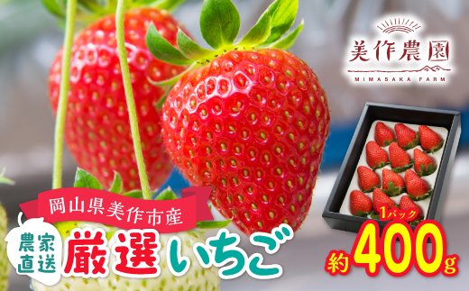 岡山県美作市産　厳選1品種いちご(約400g)【配送不可地域：離島・北海道・沖縄県】【1073696】