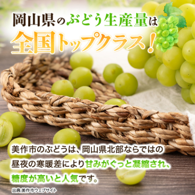 【訳あり】シャインマスカット 2Kg【配送不可地域：離島】【1631232】