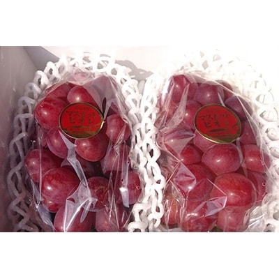 【2026年先行受付】パリッと皮ごと食べられるマスカットビオレ1.3kg【配送不可地域：離島】【1073055】