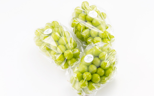 【2026年先行受付】岡山県美作市産 シャインマスカット 2kg【配送不可地域：離島】【1609174】