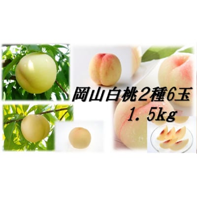 岡山白桃食べ比べ　早生種　6玉2種類【配送不可地域：離島】【1684885】
