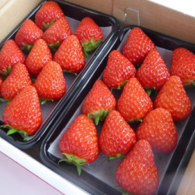 岡山ççŸäœåžç£ãããCããªãŒ(çŽ280gÃ2ããã¯)ãé
éäžå¯å°åïŒé¢å³¶ã»åæµ·éã»æ²çžçãã1464410ã