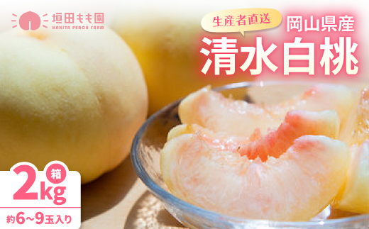 【先行予約★2026年7月下旬より順次発送予定】岡山県産　清水白桃(2kg箱)【配送不可地域：離島・北海道・沖縄県】【1667419】