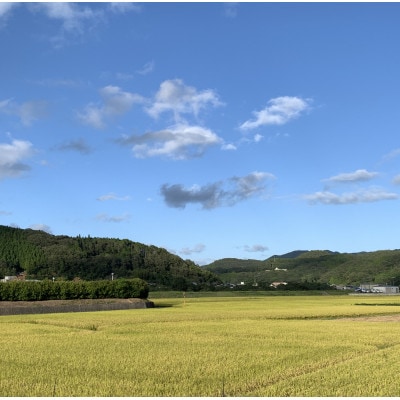 ã什å7幎ç£ã粟米ããã¬ããã2kg&ãã¡ãè©°åã(çŽ280gÃ4ããã¯)ãé
éäžå¯å°åïŒé¢å³¶ã»åæµ·éã»æ²çžçãã1676470ã