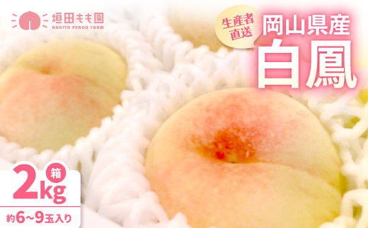 【先行予約★2026年7月中旬より順次発送予定】岡山県産　白鳳(2kg箱)【配送不可地域：離島・北海道・沖縄県】【1667406】