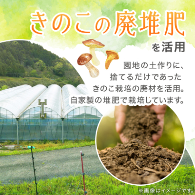 【2026年先行受付】岡山県美作市産　シャインマスカット　1房(700g以上)【配送不可地域：離島】【1142181】