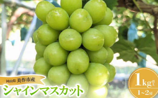 美作市産シャインマスカット1Kg【配送不可地域：離島】【1626496】