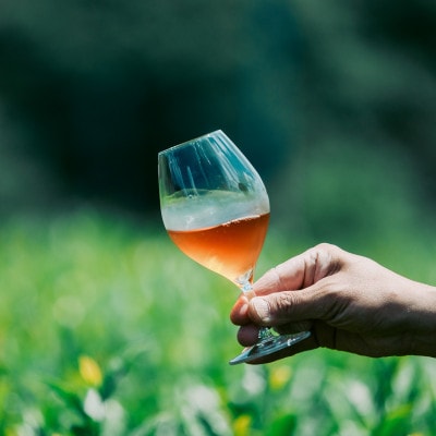 朝凪 -asanagi-【1614842】