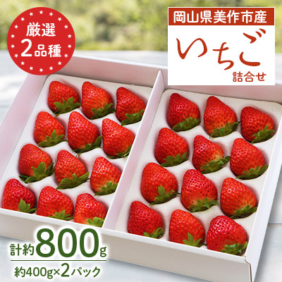 岡山県美作市産　厳選2品種いちご詰合せ(約400g×2パック)【配送不可地域：離島・北海道・沖縄県】【1073697】