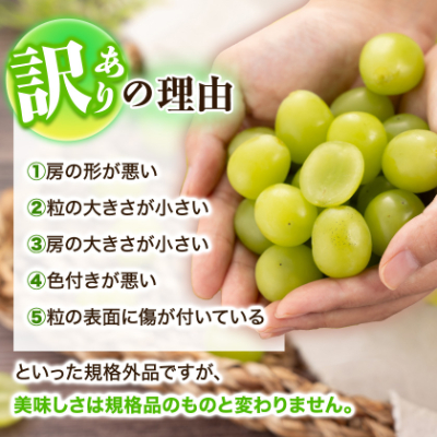 【訳あり】シャインマスカット 2Kg【配送不可地域：離島】【1631232】