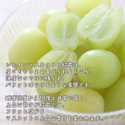 朝採りシャインマスカット&ニューピオーネ　計2kg【配送不可地域：離島・北海道・沖縄県】【1632467】