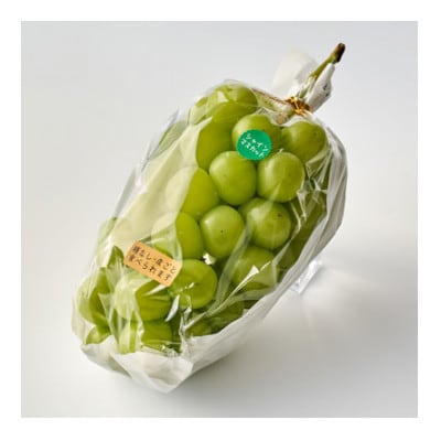 【2週間毎定期便】ぶどうのセット(ピオーネ2kg・シャインマスカット1房)全2回【配送不可地域：離島】【4085671】