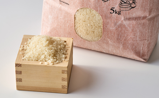 コシヒカリ　いっちょ米(5kg×1袋)【1536092】