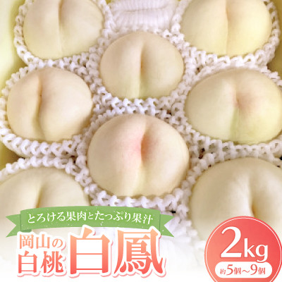 【先行予約・2026年7月発送予定】とろける果肉とたっぷり果汁の岡山の白桃・白鳳(2kg箱)【配送不可地域：離島】【1294294】