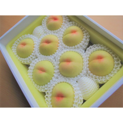 2026年先行予約　岡山県産　清水白桃　3kg(8〜9玉)【配送不可地域：離島】【1615820】