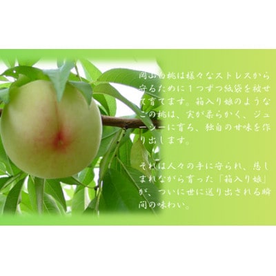 å²¡å±±çœæ¡é£ã¹æ¯ã¹ãæ©ç2çš®2çãé
éäžå¯å°åïŒé¢å³¶ãã1684882ã