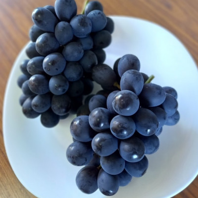 2026年先行受付　美作市産　ニューベリーA　約4kg(7〜10房)【配送不可地域：離島・北海道・沖縄県】【1477225】