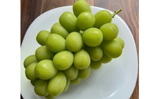 岡山県美作市産　シャインマスカット&ピオーネ　合計約1.3kg(各1房)【配送不可地域：離島・北海道・沖縄県】【1477223】