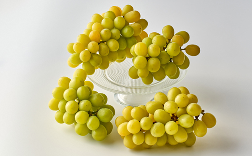 2026年先行受付【家庭用】美作市産シャインマスカット　2kg以上(3〜5房)【配送不可地域：離島・北海道・沖縄県】【1147811】