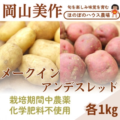 岡山県美作産じゃがいも食べ比べセット(アンデスレッド＆メークイン)　各1kg【1524206】