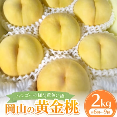 【先行予約・2026年8月上旬より発送予定】岡山県産・マンゴーの様な黄色い桃・黄金桃(2kg箱)【配送不可地域：離島】【1294300】