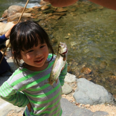 æžæµé£ãäœéšããã¡ããªãŒå
¥å Žåžãã1672833ã