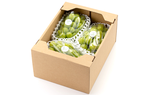 【2026年先行受付】岡山県美作市産 シャインマスカット 2kg【配送不可地域：離島】【1609174】