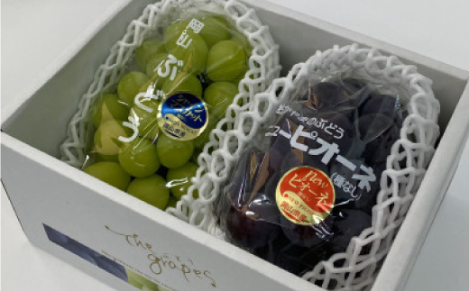 岡山県美作市産　シャインマスカット&ピオーネ　合計約1.3kg(各1房)【配送不可地域：離島・北海道・沖縄県】【1477223】