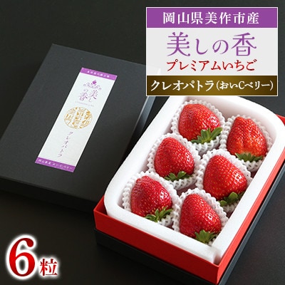 岡山県美作市産　プレミアムいちご【美しの香/クレオパトラ(おいCベリー)】6粒入【配送不可地域：離島・北海道・沖縄県】【1360737】