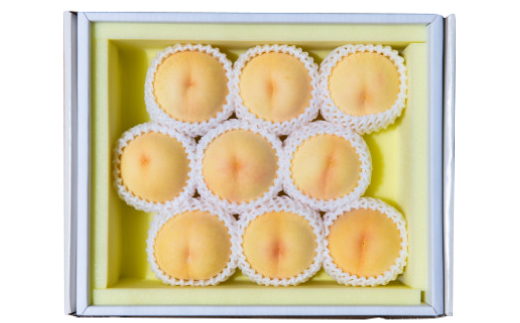 【先行予約★2026年7月下旬より順次発送予定】岡山県産　清水白桃(2kg箱)【配送不可地域：離島・北海道・沖縄県】【1667419】