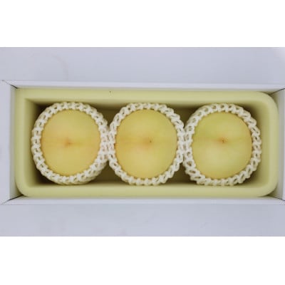 2026年 岡山白桃ロイヤル晩生(1箱3玉)800g【配送不可地域：離島】【1611258】