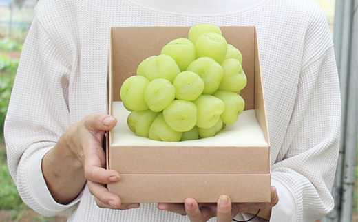 2026幎å
è¡äºçŽãéå®ã1æ¿ã1ãããé
éäžå¯å°åïŒé¢å³¶ãã1616174ã