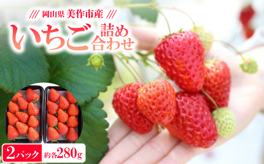 岡山県美作市産　いちご詰合せ(約280g×2パック)【配送不可地域：離島・北海道・沖縄県】【1130056】